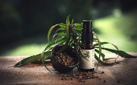 Ulje CBD i pozitivna svojstva