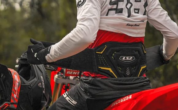 Bubrežnjak za motor